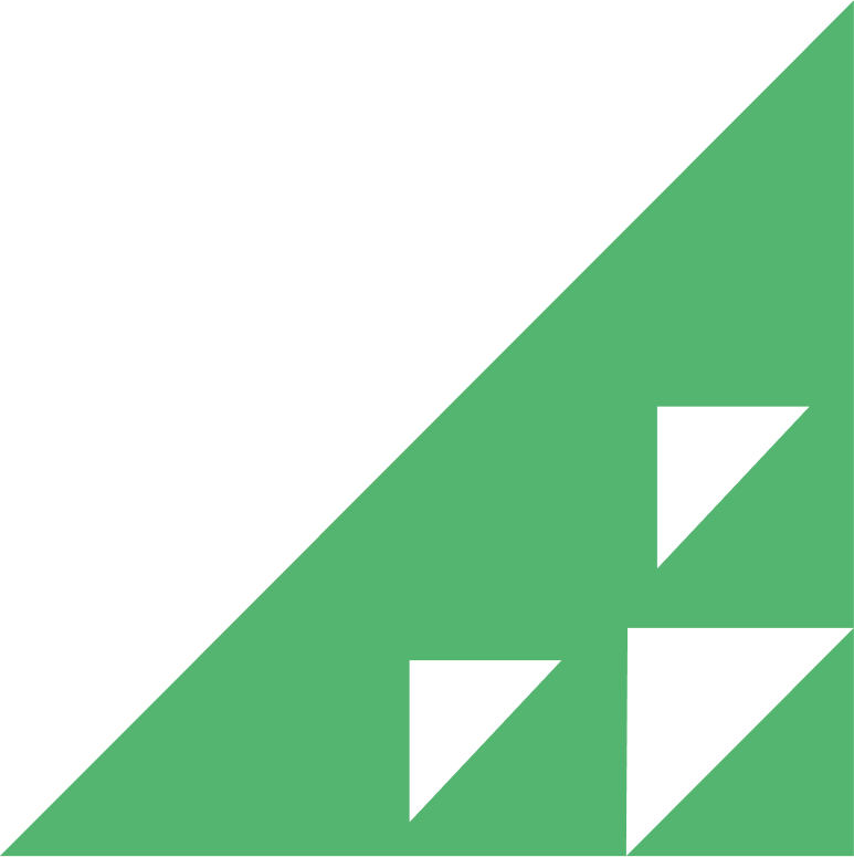 Rise Vision logo as background